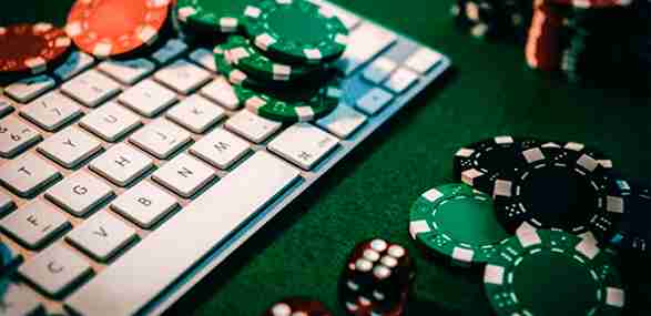 556bet
